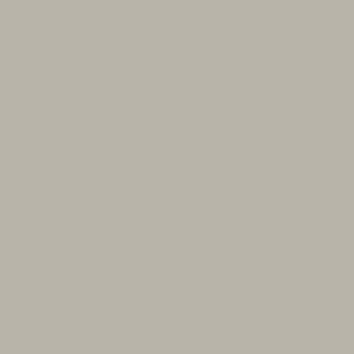 COOXS Silk Grey